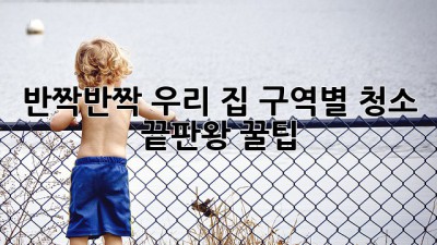 ✨반짝반짝 우리 집✨ 구역별 청소 끝판왕 꿀팁!