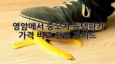 영암에서 중고차 득템하기: 가격 비교 완벽 가이드